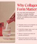 ThriveOn Stronger collagen education graphic showing a sachet being poured into water, explaining why tripeptide collagen form matters, with support from vitamin C and hyaluronic acid for collagen synthesis and skin hydration.